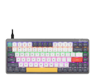 TRACER FINA 84 Grey - 1235810 - zdjęcie 5